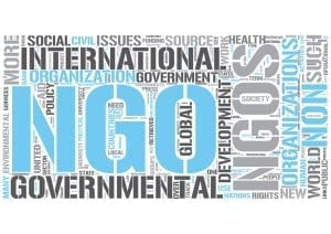 ngo insight laws